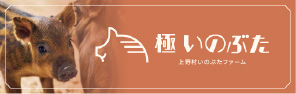 上野村いのぶたファーム